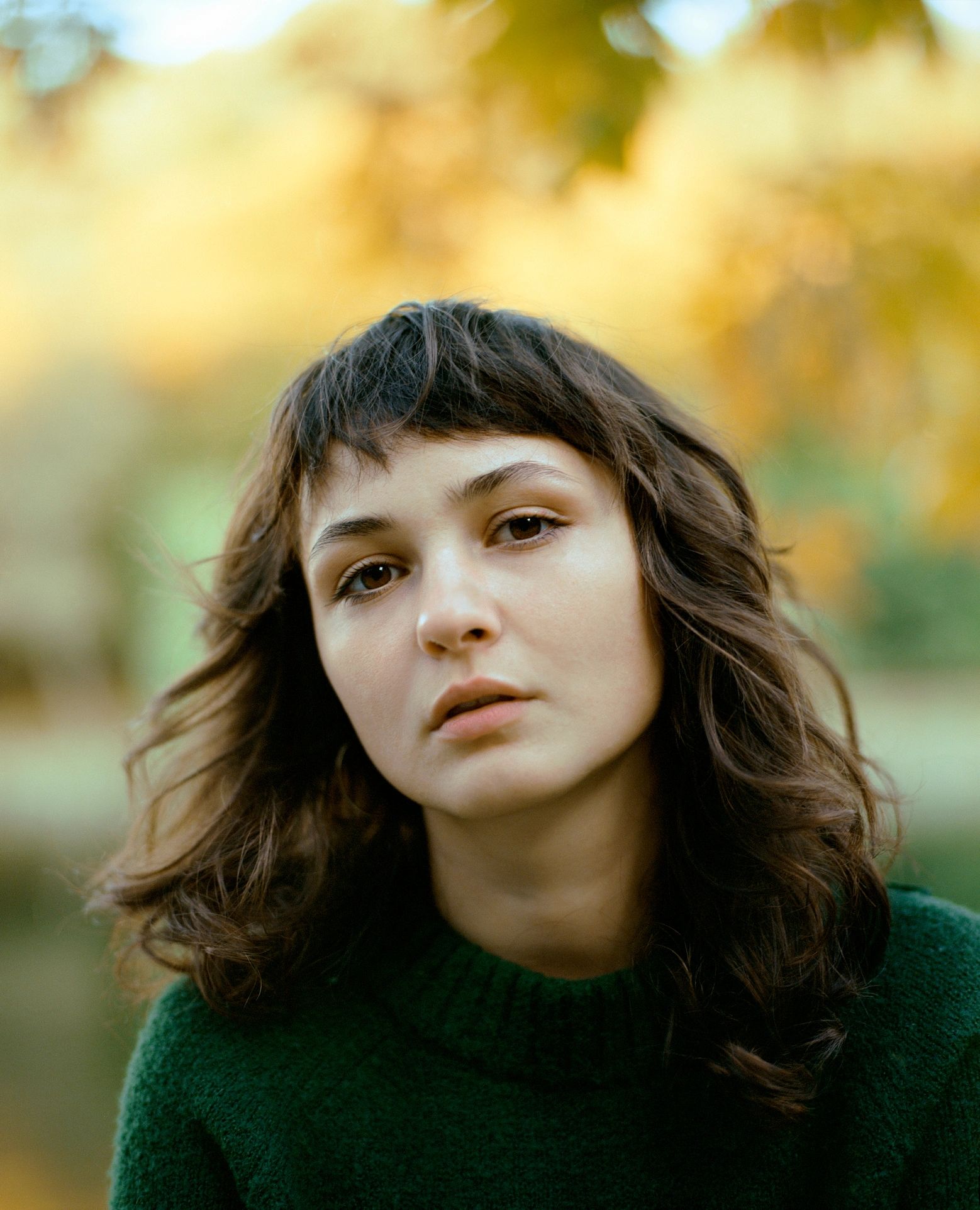 Portrait of a woman against golden autumn foliage