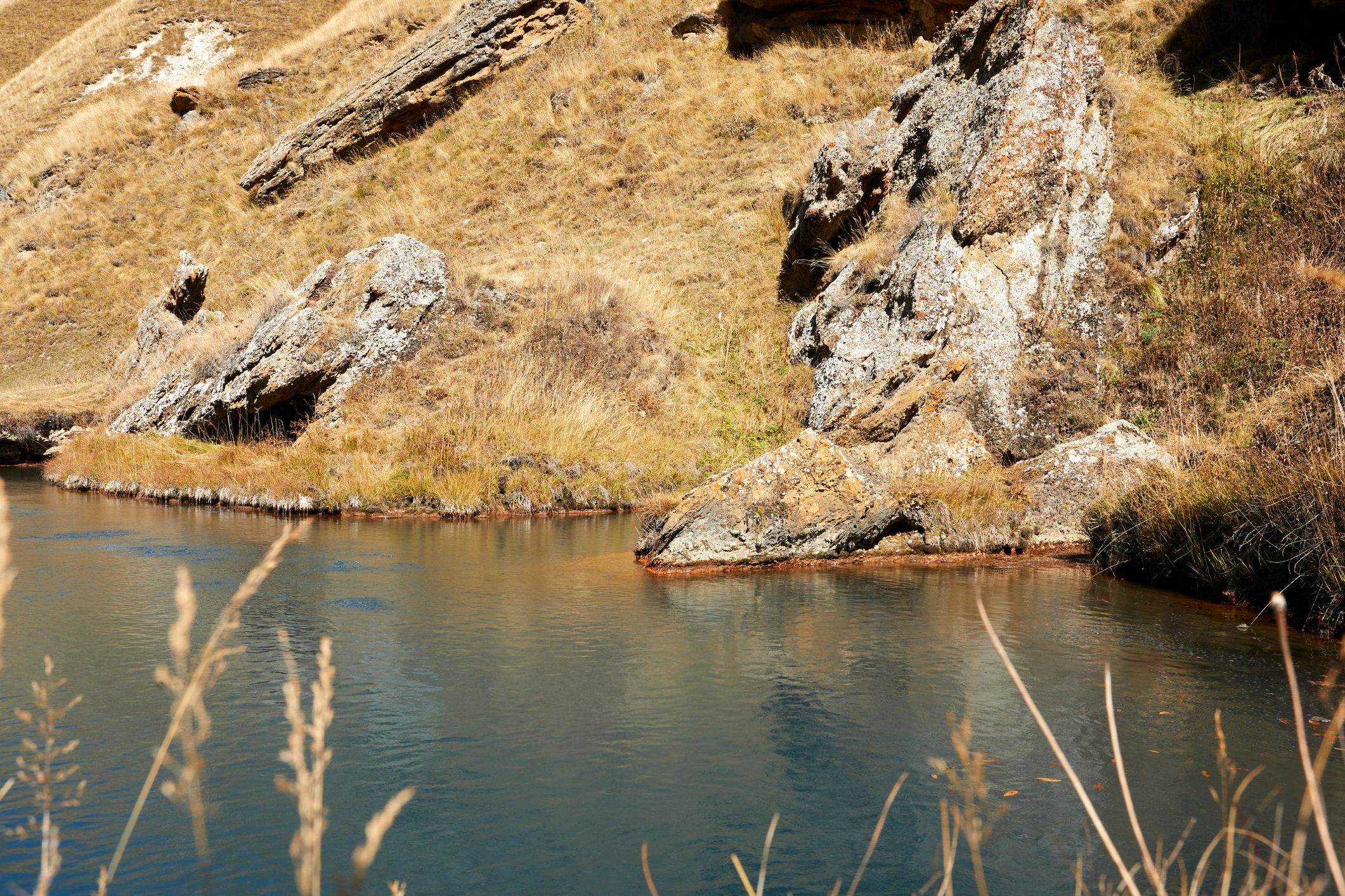 Mountain valley with river, trees, and rocky terrain