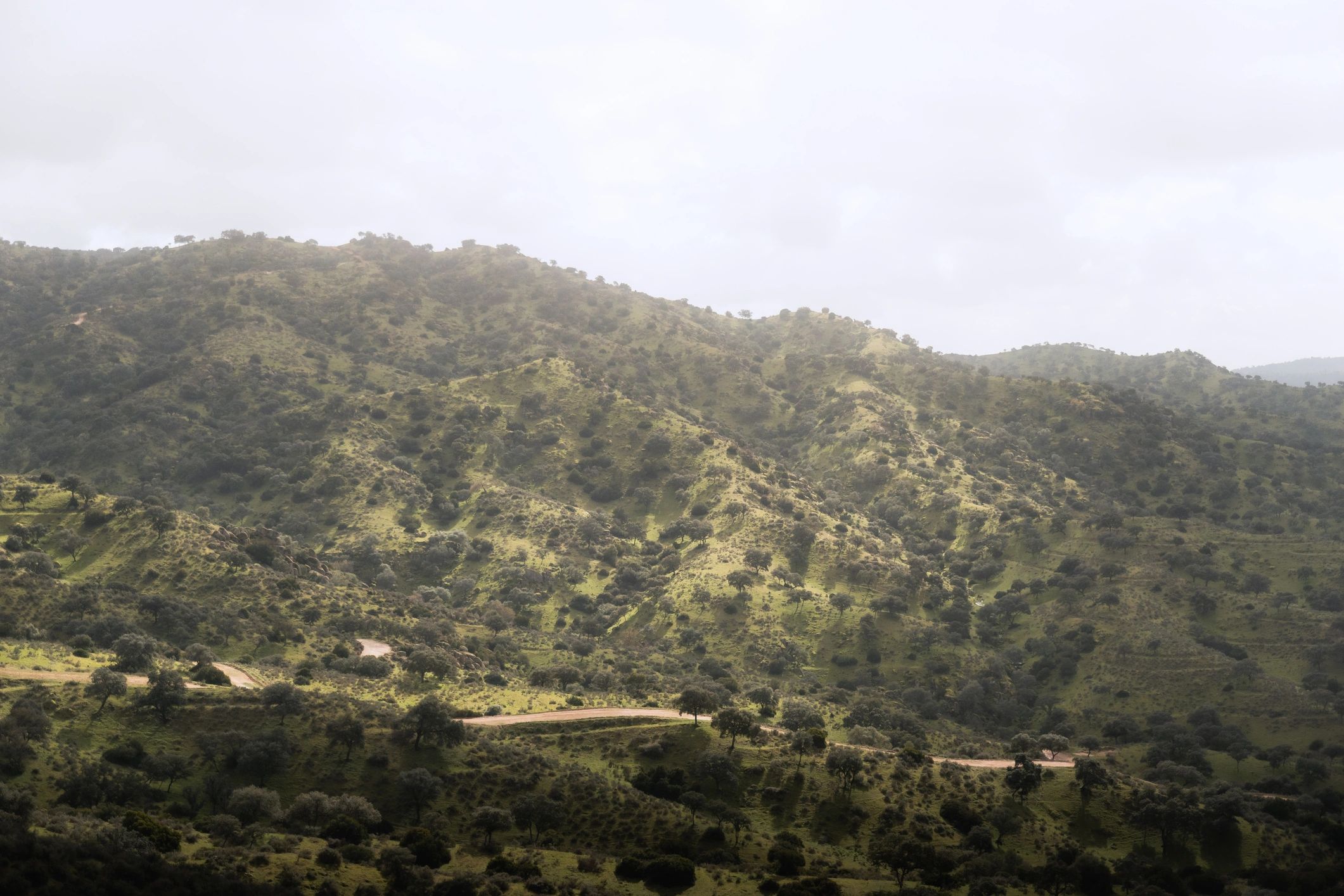 Green hills with winding road under clouds